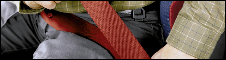 Wear Your Seatbelt - 750